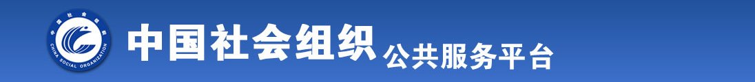 插操插全国社会组织信息查询